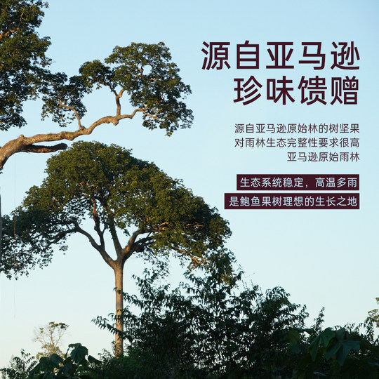 Hochwertige südamerikanische Abalone-Nüsse, importierte Rohstoffe, originale, zusatzstofffreie Paranüsse, Wüstenfrucht-Snacks für schwangere Frauen