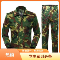 High-quality college student military training camouflage suit mens long-sleeved summer camp training suit jacket summer wear-resistant training suit