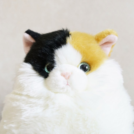 fat cat doll