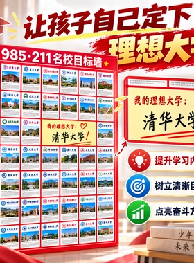 中国大学名校图册985211国内重点贴墙名校目标墙挂图名校目标墙
