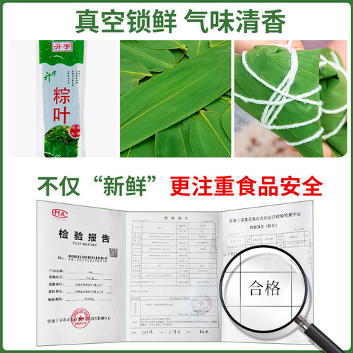 粽叶新鲜粽子叶100片包粽子专用大号粽叶干南方非现摘芦苇大粽叶 - 图3