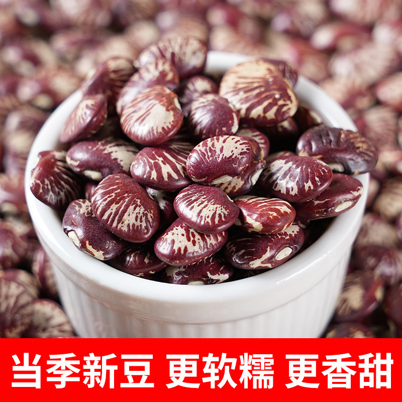 农家荷包豆新货5斤农家肾豆新鲜五谷杂粮豆类粗粮状元豆花芸豆