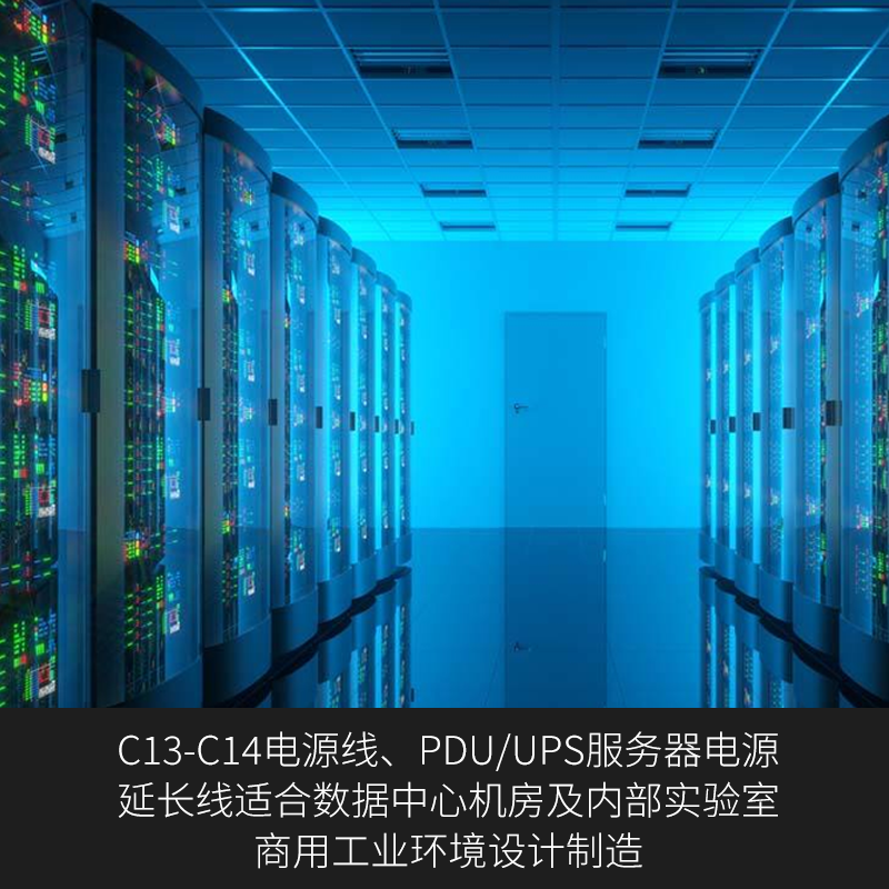 PDU服务器电源线C13转C20 C14转C19 10A/16A UPS全铜3*1.5平方3米 - 图3