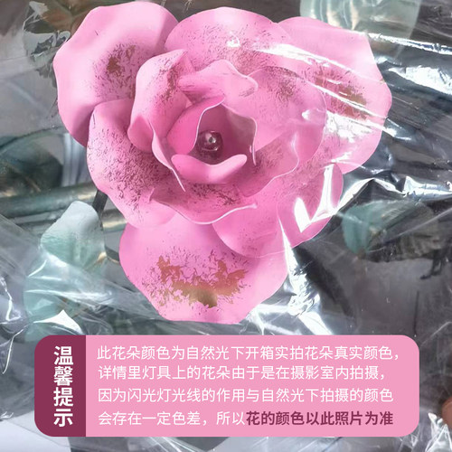 美苑田园花草灯铁艺花灯玫瑰花客厅吸顶灯led灯节能灯吸顶客厅灯 - 图3