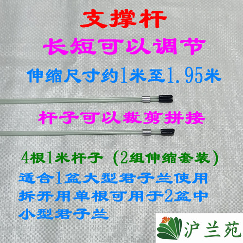 君子兰整形矫正线伸缩硬杆支撑不变形透明护边条保护不伤叶片挂钩 - 图1