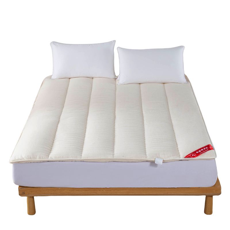6斤床垫软垫床褥垫褥子铺床双人家用保护垫薄款垫褥学生宿舍垫被