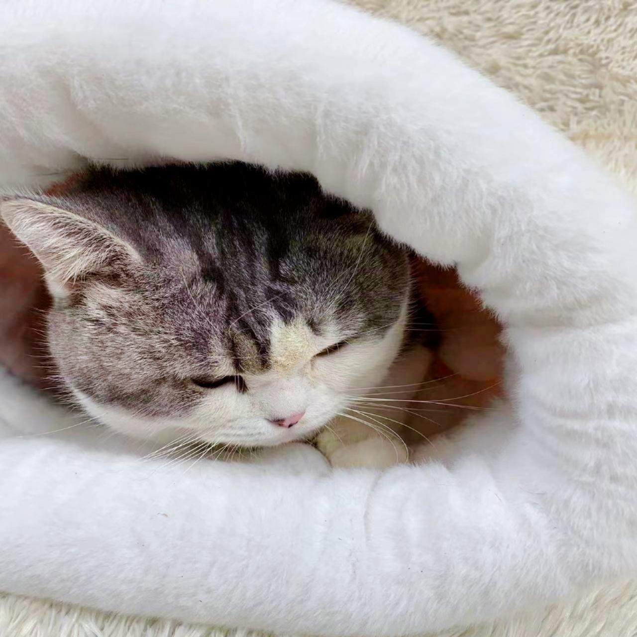 猫咪睡袋猫窝冬季保暖安全感半钻洞四季通用封闭式猫床猫咪窝睡垫,淘宝优惠券,粉丝福利购,淘宝优惠卷
