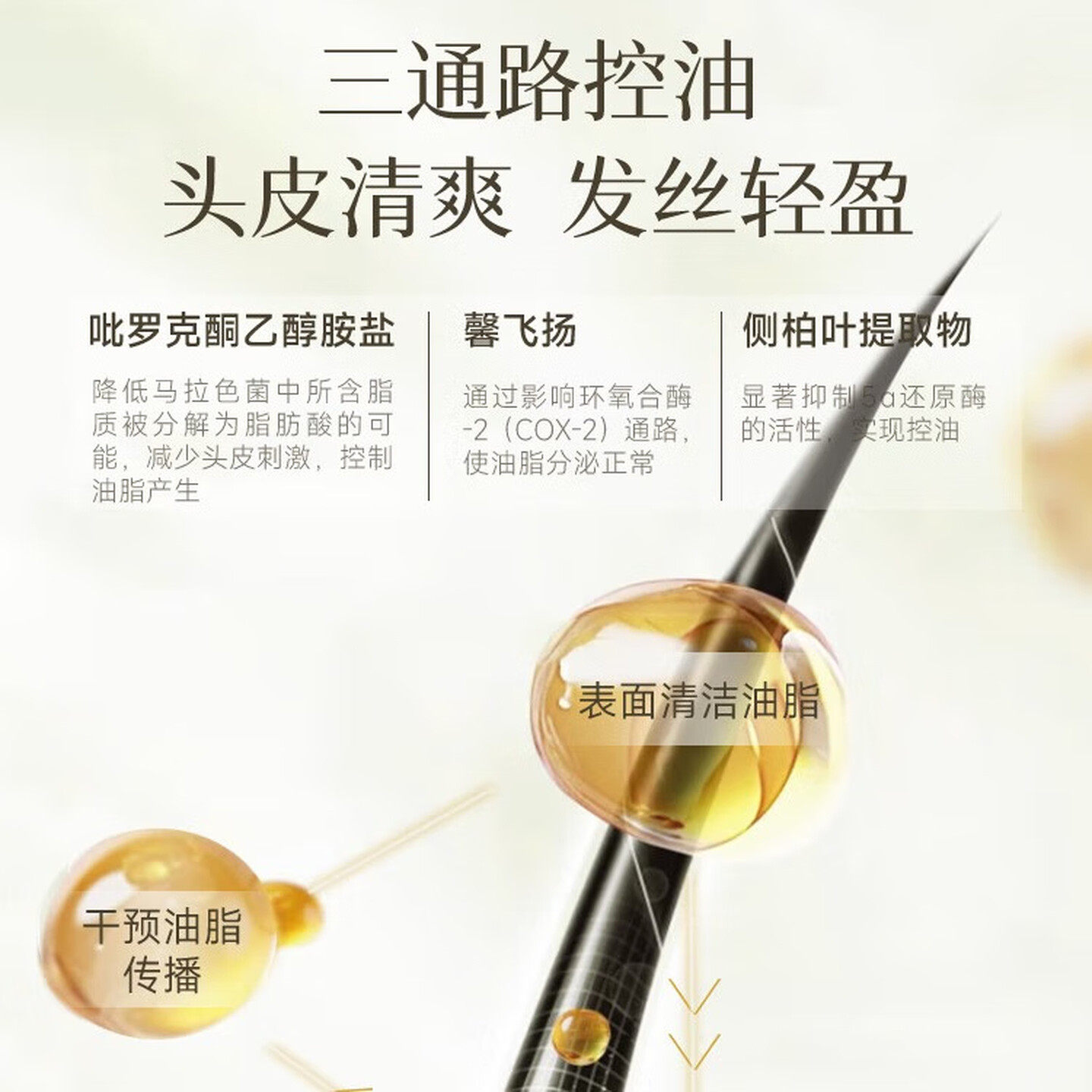 澳洲菲诗蔻洗发水植物去屑桉树玻尿酸咖啡姜精华生姜洗发液
