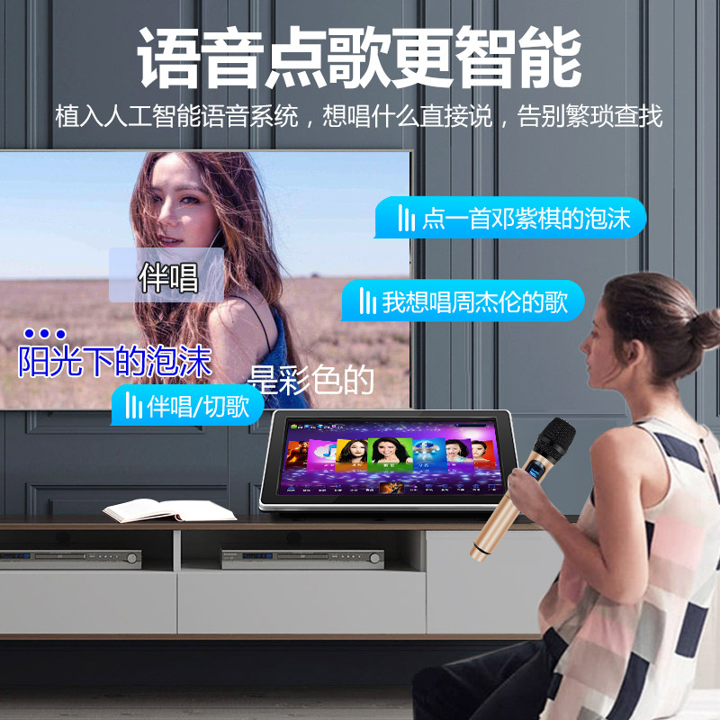 威钻KTV/卡拉OK音箱