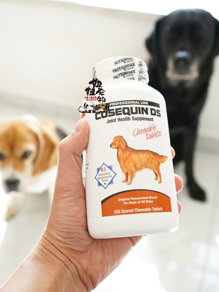 Cosequin含MSM康仕健狗犬关节修复软骨素髋关节髌骨脱位关节宝 - 图2