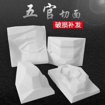 Painted fine art plaster figure head base modelling five official section plaster like sketching equipment eye-mouth nose