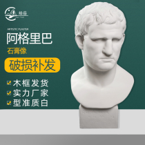 Manufacturer direct sales 60cm Agriba plaster head hard film plaster like a wholesale mold figure writing raw equipment