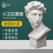 Drawing 62cm Xiaowei Fine Arts Plaster Head Sketch Plaster like Giuliano Demeys Medicare Room assorted