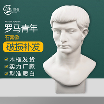 Plotter 52cm Rome Young fine art plaster figure Head sketch plaster statue like sketching art room assorted equipment