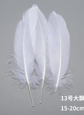 diy白色舞台道具火鸡毛