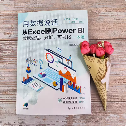 用数据说话 从Excel到Power BI数据处理 分析 可视化一本通 Excel+Power BI联合 轻松搞定数据分析 Excel及PowerBI入门参考书籍