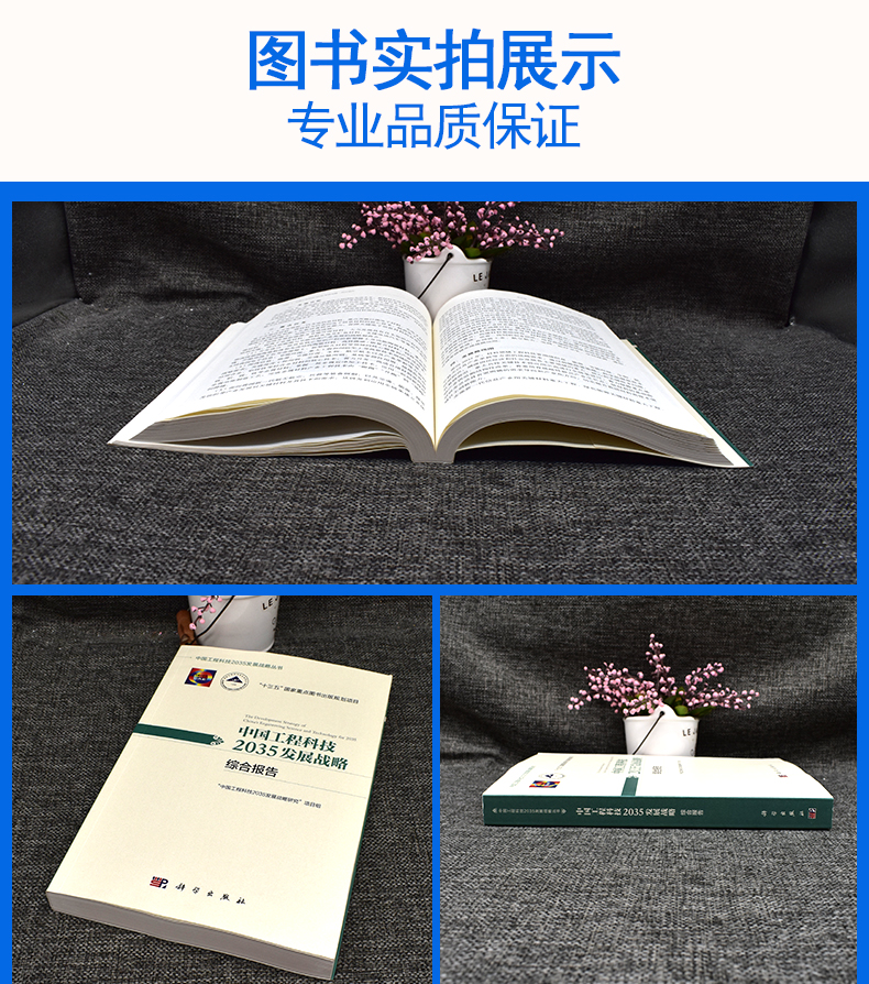 中国工程科技2035发展战略·综合报告 能源资源环境生态信息与电子先进材料 装备制造流程制造领域参考书籍