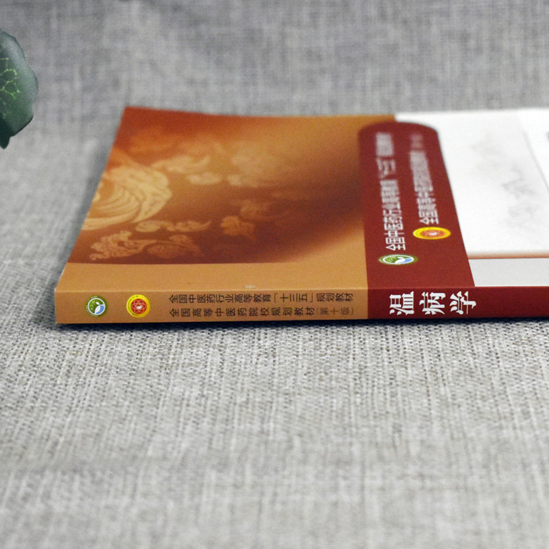 温病学(十三五中医药院校规划教材第十版新世纪第四版)马健 编 (供中医学.针灸推拿学.中西医临床医学等专业用)中国中医药出版社