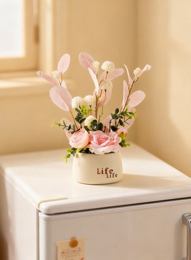 ins奶油风植物装饰摆件美观百搭