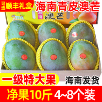 Hainan mango Qingpi AustralianSanya Special production should be made with a large green and fresh fruit big mango 10 catty and abundant gift boxes