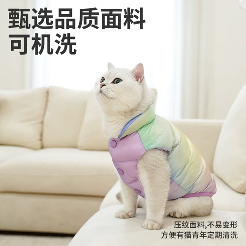 Удерживающий тепло демисезонный пуховик, жилет, осенний сезон, увеличенная толщина