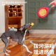 Dog toy tennis rackets with grinding teeth and cleaning