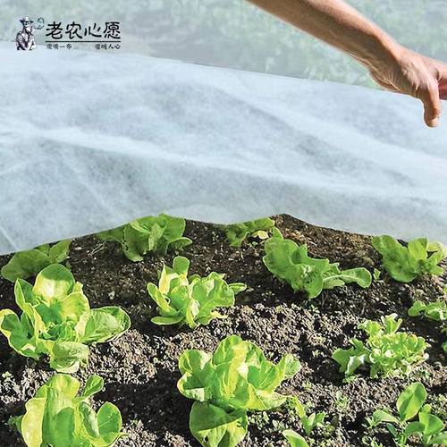 蔬菜防寒布大姜防霜布大蒜防冻透气防水轻便园艺保温透光防寒布 - 图1
