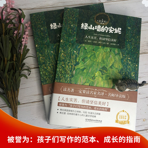 绿山墙的安妮正版露西·蒙哥马利原著 原版名家名译 中小学生儿童读物语文阅读丛书 甜蜜少女成长故事 儿童故事书 - 图0