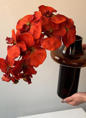 ins轻奢风艺术咖色玻璃花瓶