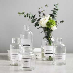 北欧风水培透明玻璃花瓶