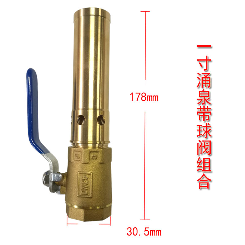 加厚全铜涌泉喷头鼓泡喷头水池水景景观喷泉园艺喷头4分6分1寸-图2