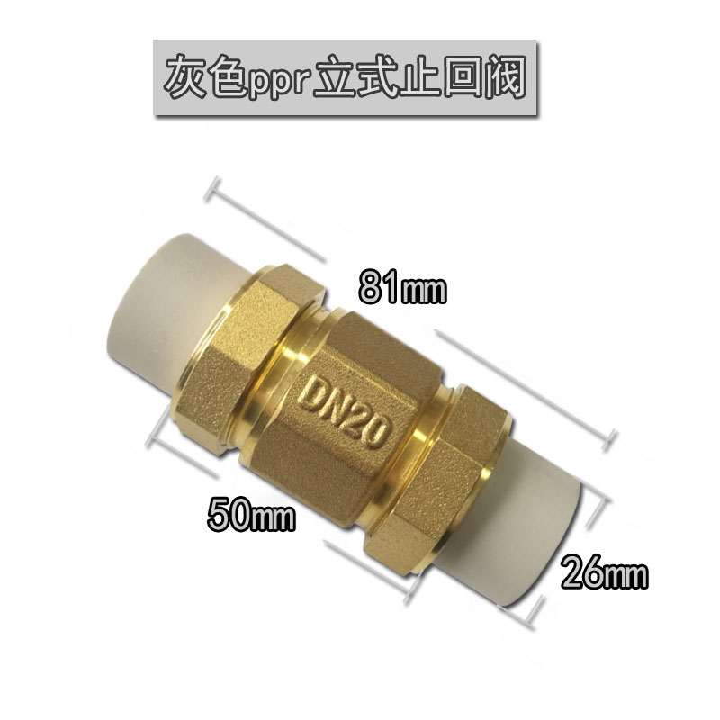 铜立式止回阀ppr止回阀4分6分1寸单向阀止逆阀ppr50 40立式止回阀 - 图2