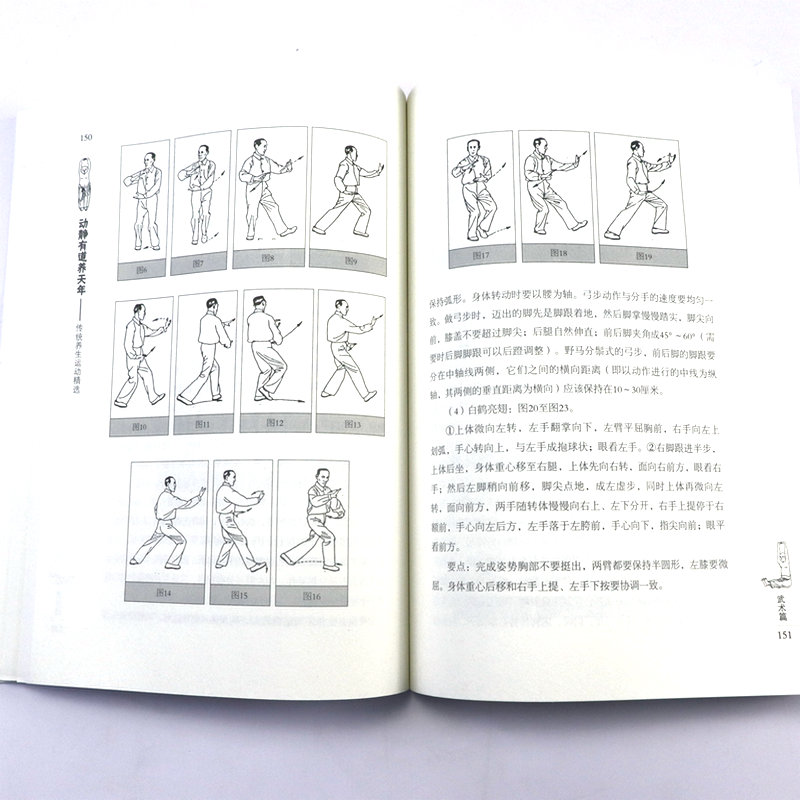 【6册】站桩入门与养生+站向健康：武术站桩养生问答+武当道门五行养生桩+大成拳站桩养生之道+呼吸的养生智慧 +传统养生运动精选 - 图1