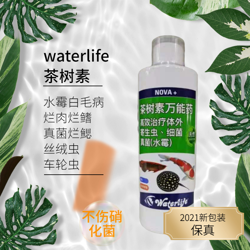 英国waterlife茶树素水族观赏鱼凸眼蒙眼烂尾细菌感染水霉立鳞-图1