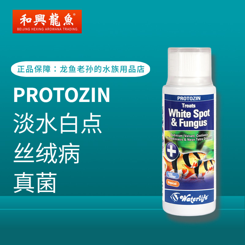 英国进口Waterlife大白片龙鱼魟鱼罗汉内寄外寄鳃虫白点头洞凸眼,淘宝优惠券,粉丝福利购,淘宝优惠卷
