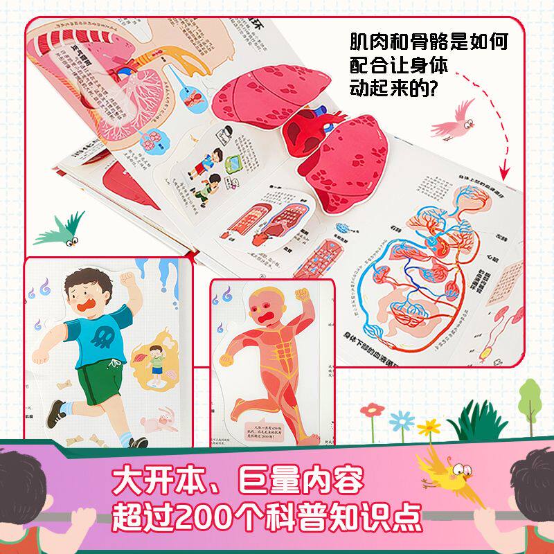 呦呦童 我们的身体3d立体书 儿童3d 中国少年儿童百科全书 幼儿 绘本3-6-12周岁早教科普启蒙翻翻书认识人体 身体的秘密不可思议