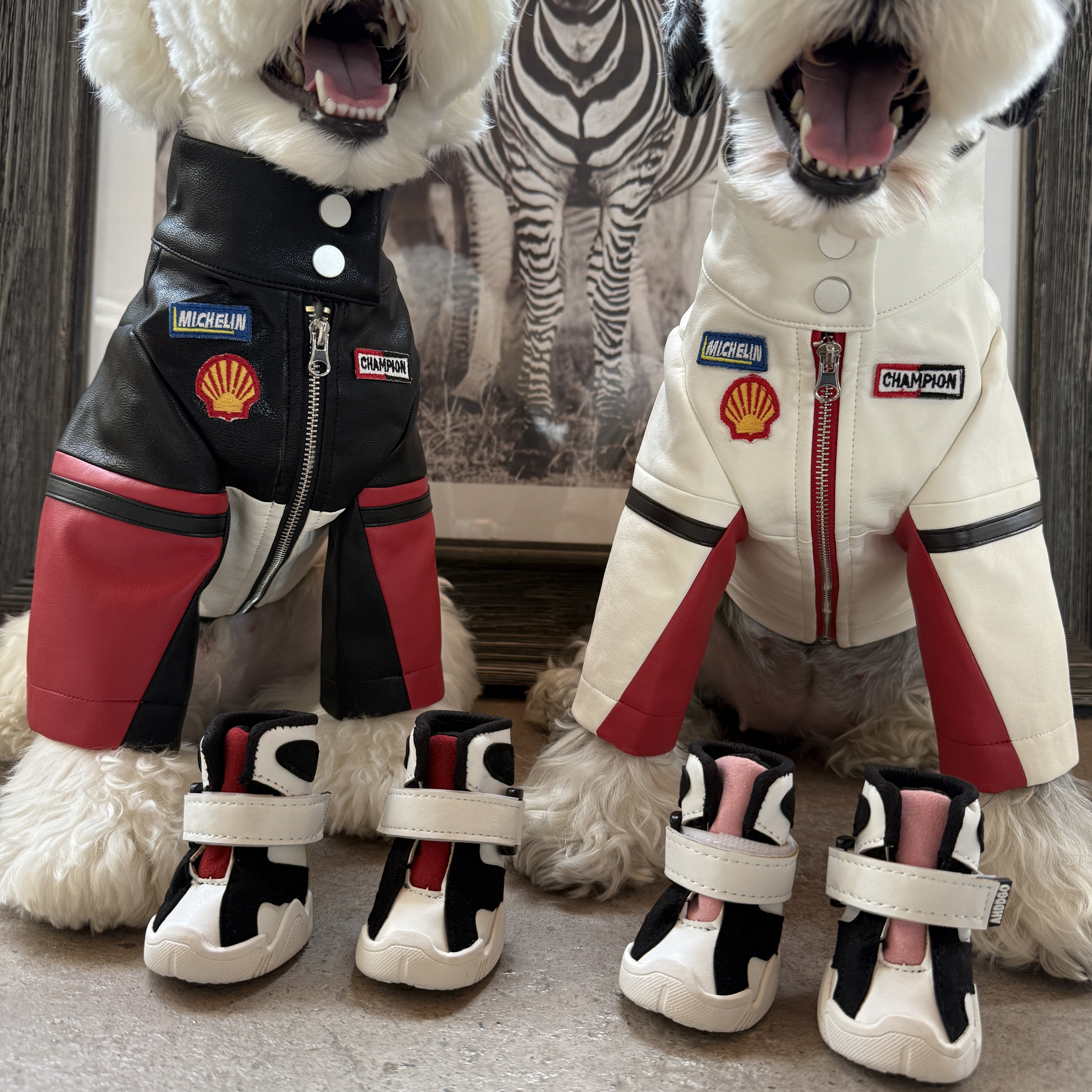 狗狗衣服秋冬保暖雪纳瑞比熊泰迪柴犬西高地宠物外套赛车服,淘宝优惠券,粉丝福利购,淘宝优惠卷