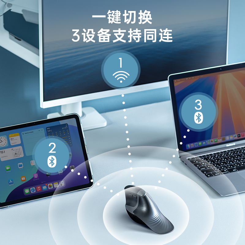 SANWA Ergonomic Wireless Mouse