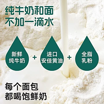 老式拉丝面包学生早餐速食100g*3包[13元优惠券]-寻折猪