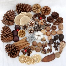 Dried flower dried fruit shell pine nuts Decorative Handmade DIY Natural Raw Materials Senteo Incense Christmas