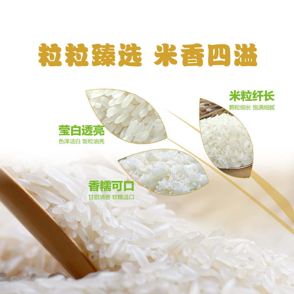 【芭芭农场兑换】金龙鱼6步鲜金域鲜稻长粒香大米2.5kg2025年新米,淘宝优惠券,粉丝福利购,淘宝优惠卷