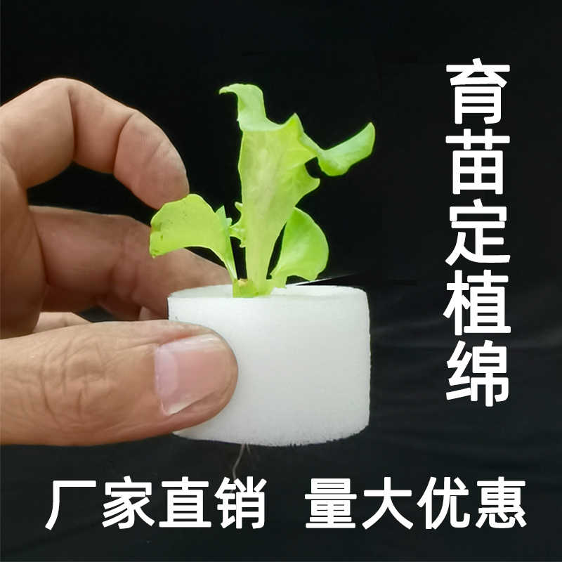 育苗海棉 新人首单立减十元 21年9月 淘宝海外