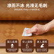 Thickened ice rattan mat summer 2026 new style