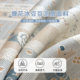 Cartoon jacquard ice bean mat three-piece set 2026