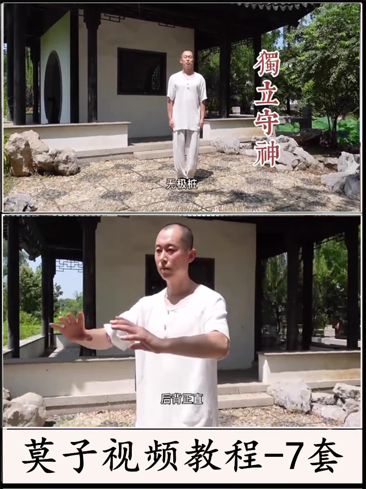 莫子无极桩精华班形意拳劈拳基础发劲太乙桩三体式站桩指导付洪波 - 图2