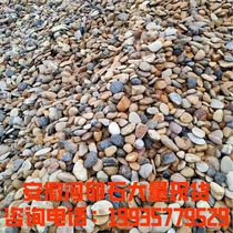 Anhui Natural Goose Pebble River Pebble Substation 1-5 cm 5-8 cm landscaped River Beach Landscape paved road