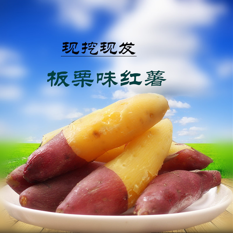 柑橘种植基地：一片绿意中的农业新希望