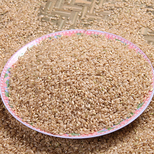 新糙米 大米糙米 胚芽 农家新米五谷杂粮粗粮食品老郭家铺子 - 图1