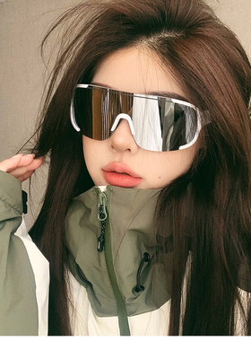 德国户外运动骑行银色眼镜防风镜