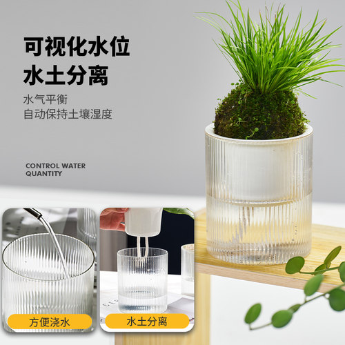 自动吸水懒人储水盆栽桌面简约透明花盆绿萝盆绿箩花卉绿植小花盆 - 图1